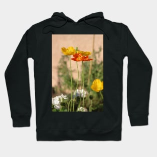 Rust Orange and Butter Yellow Poppies Hoodie